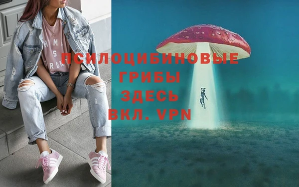 стафф Абаза
