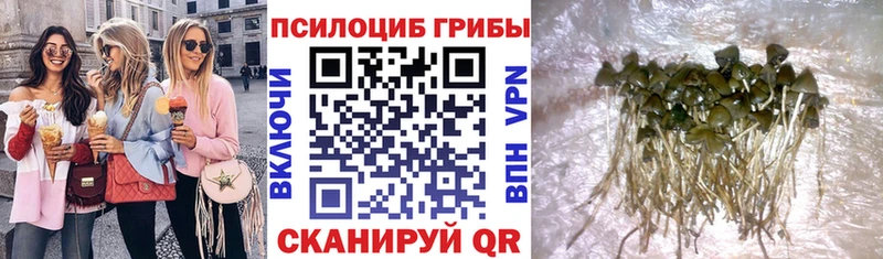 Галлюциногенные грибы GOLDEN TEACHER  Камень-на-Оби 